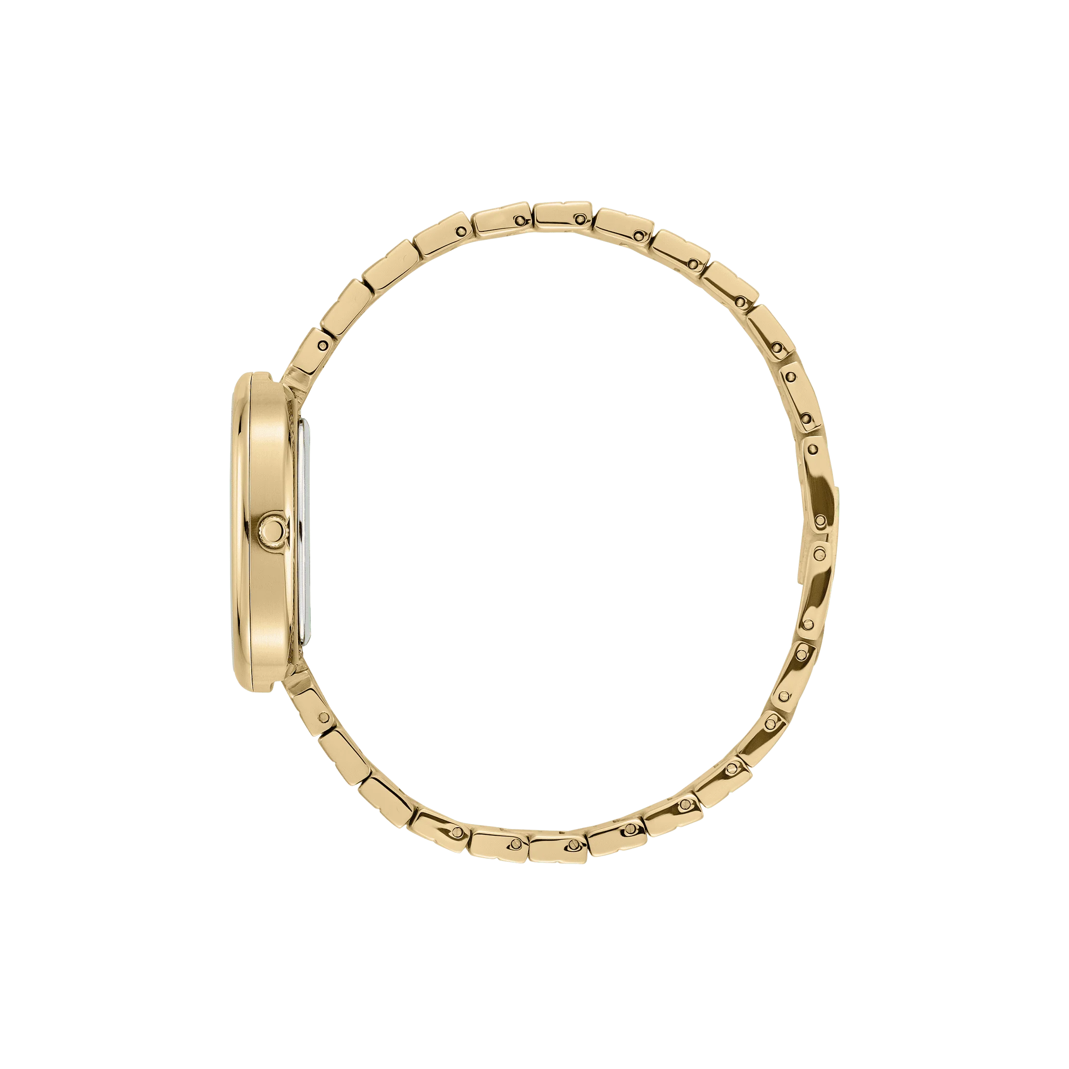 Jane - Gold/Sage - Image 5